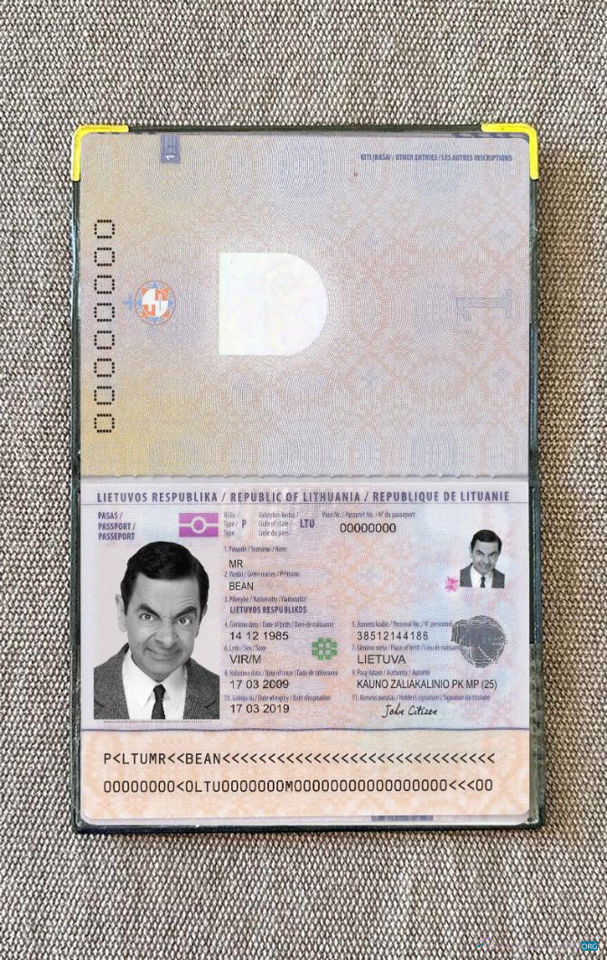 Download Lithuania passport photo look Photoshop template